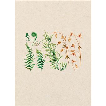 La pharmacie de Dieu