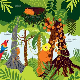 Mes imagiers de la vie sauvage - La jungle