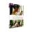 Madame BovaryMadame Bovary DVD_0