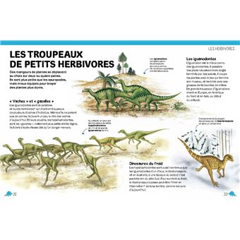 Sur les traces des dinosaures