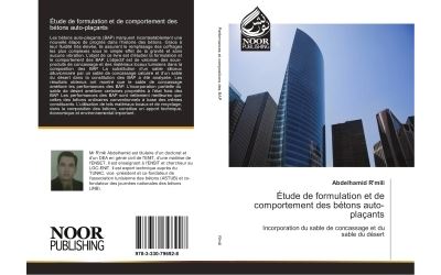 Etude de formulation et de comportement des betons auto-plac