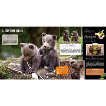 Une saison au zoo Le grand livre des bébés animaux