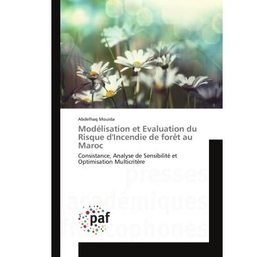 Modelisation et evaluation du risque d'incendie de foret au