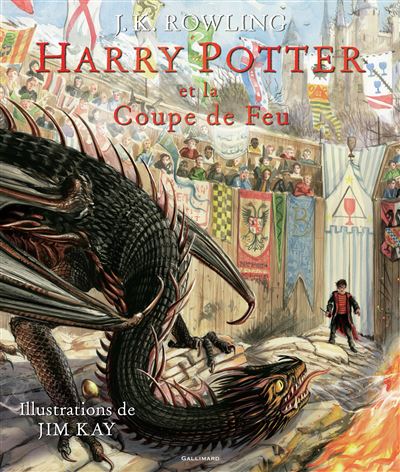 https://static.fnac-static.com/multimedia/Images/FR/NR/0f/be/ab/11255311/1507-1/tsp20200411071134/Harry-Potter-IV-Harry-Potter-et-la-Coupe-de-Feu.jpg