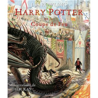 Harry PotterHarry Potter, IV : Harry Potter et la Coupe de Feu