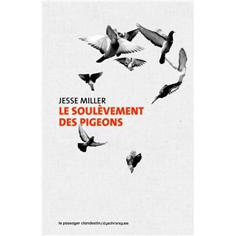Le soulèvement des pigeons