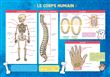 Les posters de l'école : Le Corps humain