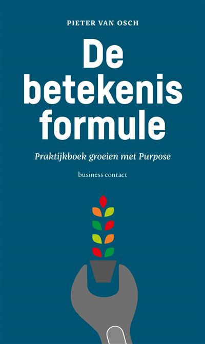 De betekenisformule