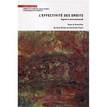 L'effectivité des droits