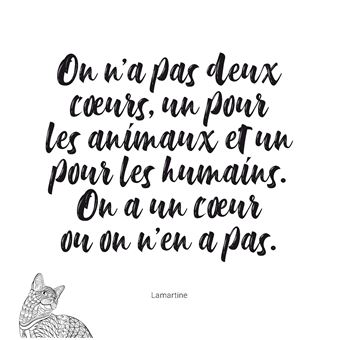 Je médite, je colorie, je dessine - Animaux totems