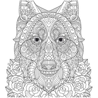 Je médite, je colorie, je dessine - Animaux totems