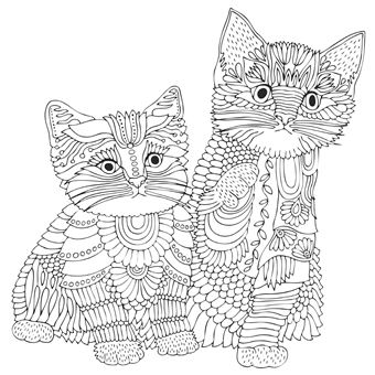 Je médite, je colorie, je dessine - Animaux totems