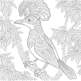 Je médite, je colorie, je dessine - Animaux totems