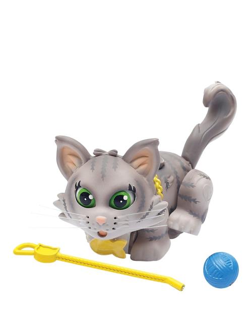 Chat Gris de Sibérie Pet Parade avec pelote et laisse