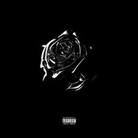 Nouvel album