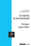Les impensés du droit administratif