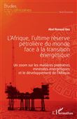 L'Afrique, l'ultime réserve pétrolière du monde face à la transition énergétique