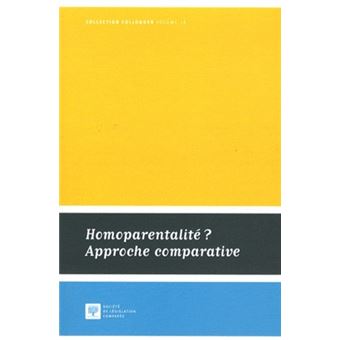 Homoparentalité ? approche comparative