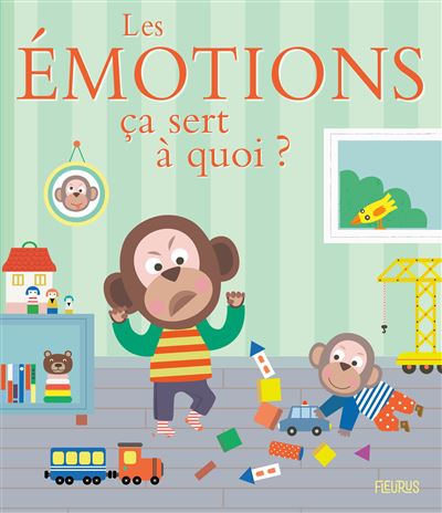 Les émotions - Sophie Bellier - cartonné