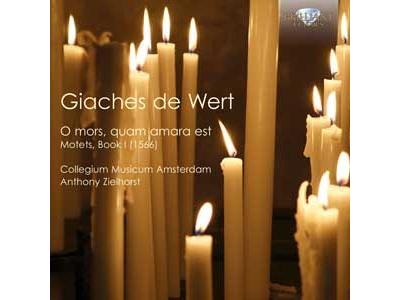 Motets - Volume 1