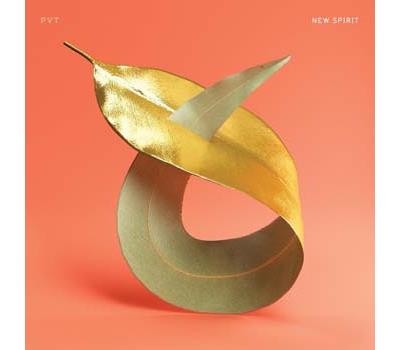 NEW SPIRIT/LP