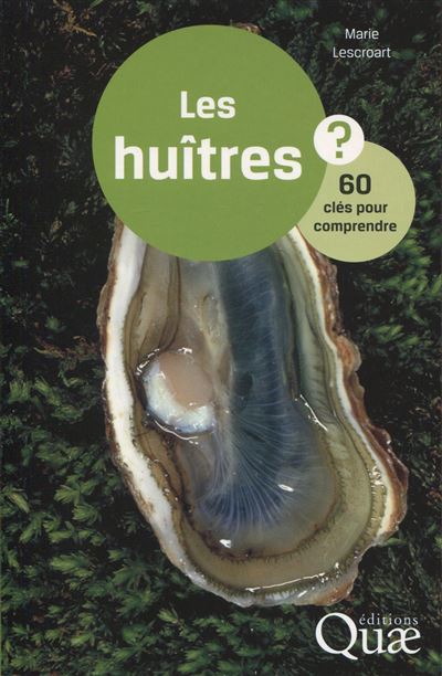 Les huîtres en questions