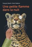 Une petite flamme dans la nuit