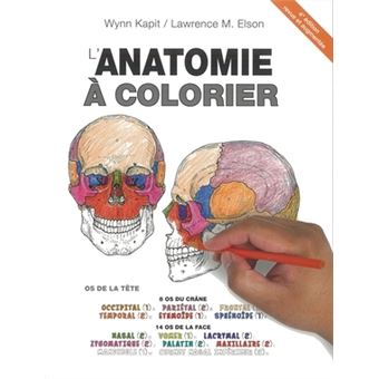 anatomie a colorier 4eme edition broche w kapit l m elson achat livre fnac feuille de coloriage zip