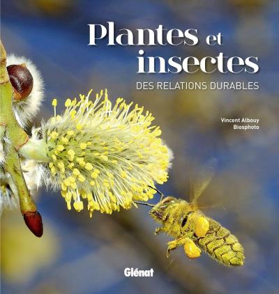 Plantes et insectes, des relations durables