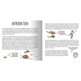 Les animaux de la Méditerranée