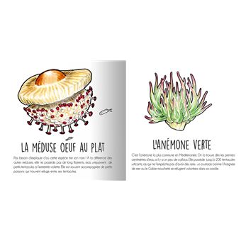 Les animaux de la Méditerranée