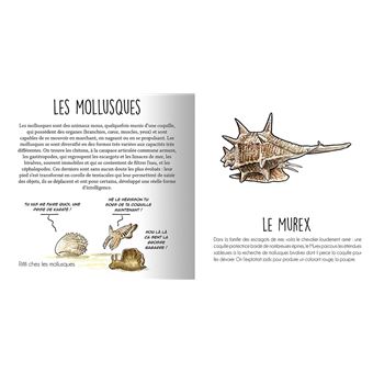 Les animaux de la Méditerranée