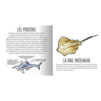 Les animaux de la Méditerranée