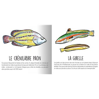 Les animaux de la Méditerranée