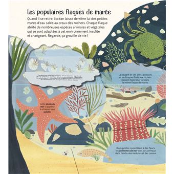 Les petits mondes de l'eau