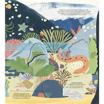 Les petits mondes de l'eau