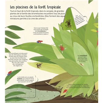 Les petits mondes de l'eau