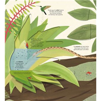 Les petits mondes de l'eau