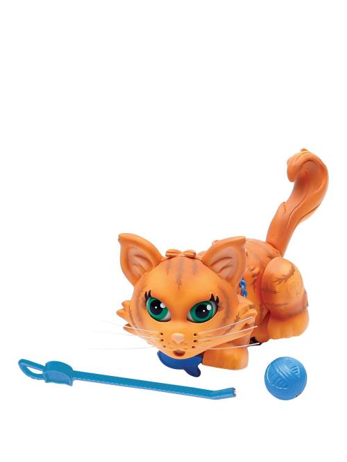 Chat Roux de Sibérie Pet Parade avec pelote et laisse