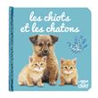 Bébé touche-à-tout - Les chiots et les chatons