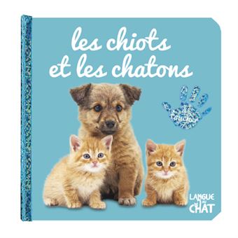 Bébé touche-à-tout - Les chiots et les chatons