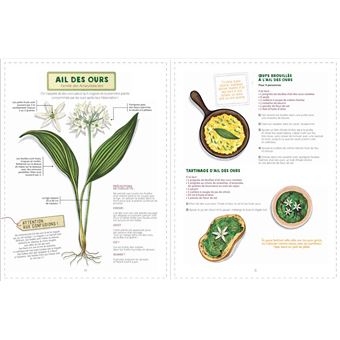 Reconnaître et cuisiner les plantes sauvages