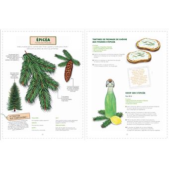 Reconnaître et cuisiner les plantes sauvages