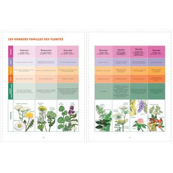 Reconnaître et cuisiner les plantes sauvages