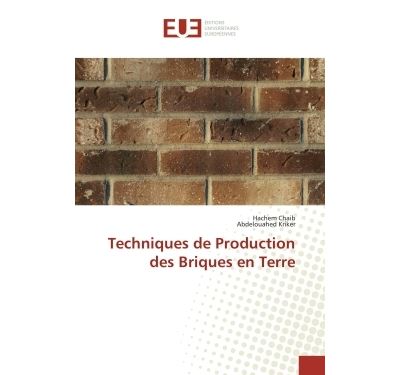 Techniques de production des briques en terre
