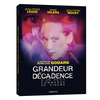 Grandeur et décadence d'un petit commerce de cinéma DVD