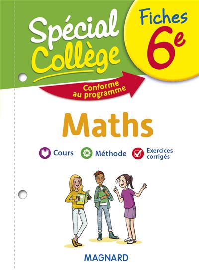 Spécial Collège Fiches Maths 6e - Stéphane Renouf - broché
