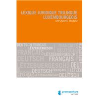 Lexique Juridique Trilingue Luxembourgeois Broche Safouane Jaouid Achat Livre Ou Ebook Fnac