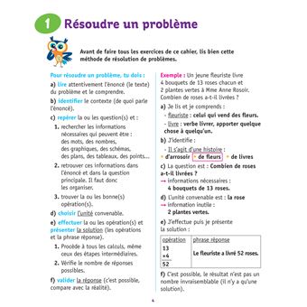Mieux comprendre les problèmes de maths CM1/CM2 9-11 ans