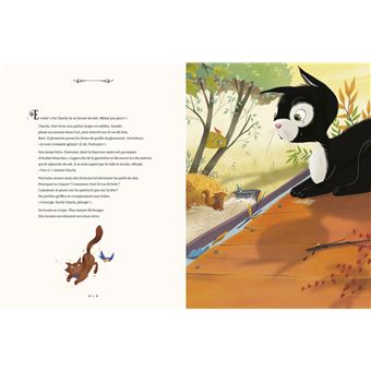 Les Contes de la Chouette - Le Chaton qui avait peur de tout